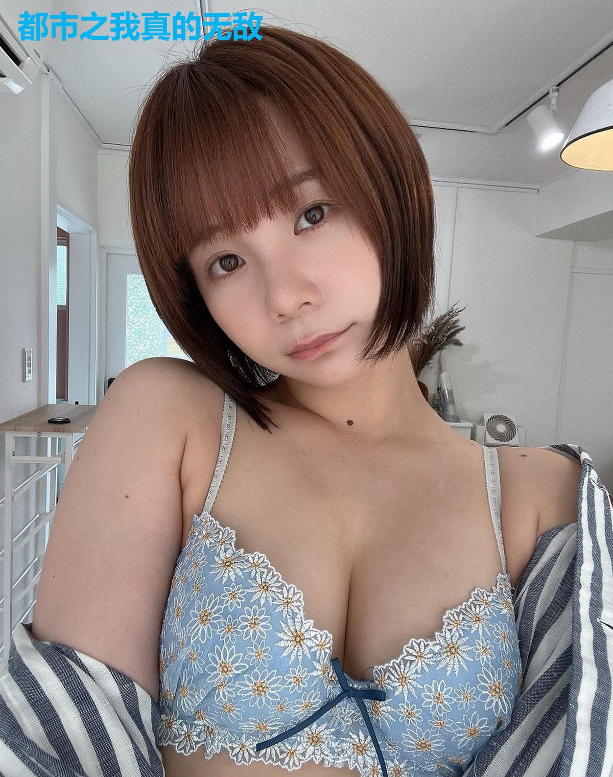 都市之我真的无敌