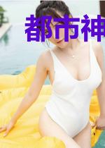 都市神卫之王王林