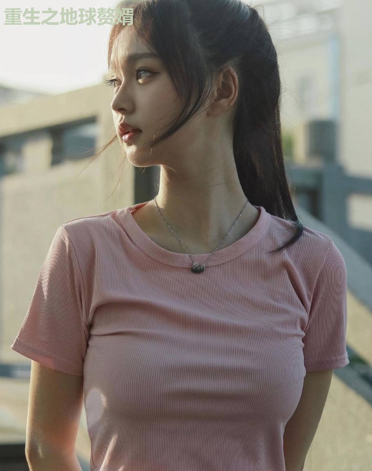 重生之地球赘婿