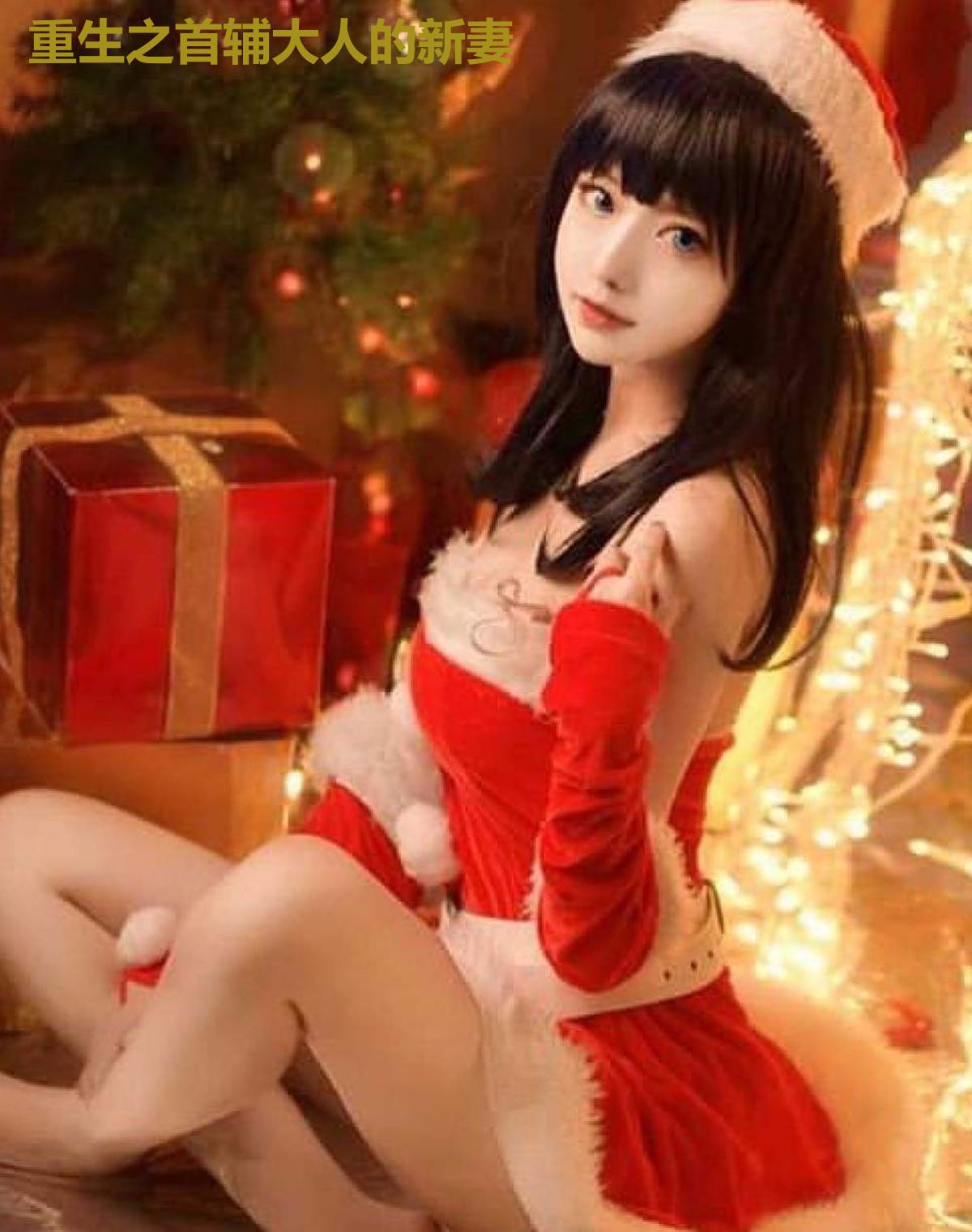 重生之首辅大人的新妻