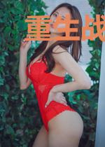 重生战婿归来林战