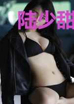 陆少甜宠腹黑妻