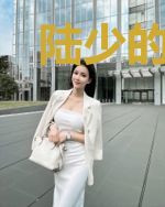 陆少的替嫁小娇妻叶音