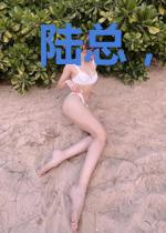 陆总,夫人又逃婚了