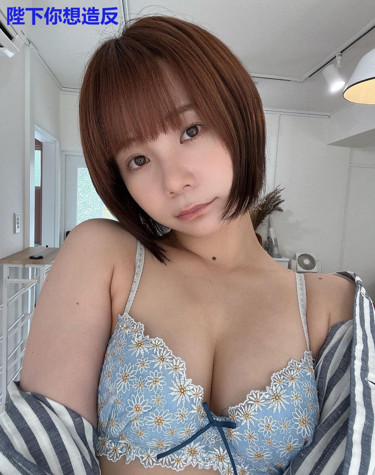 陛下你想造反