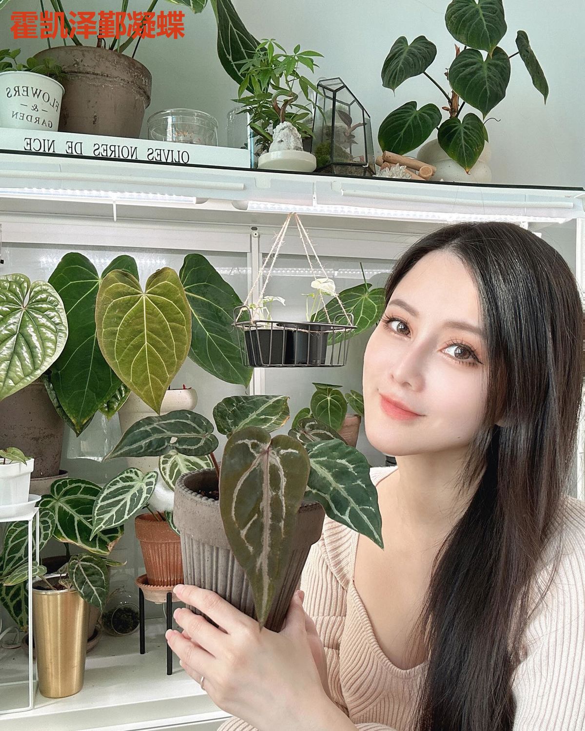 霍凯泽鄞凝蝶
