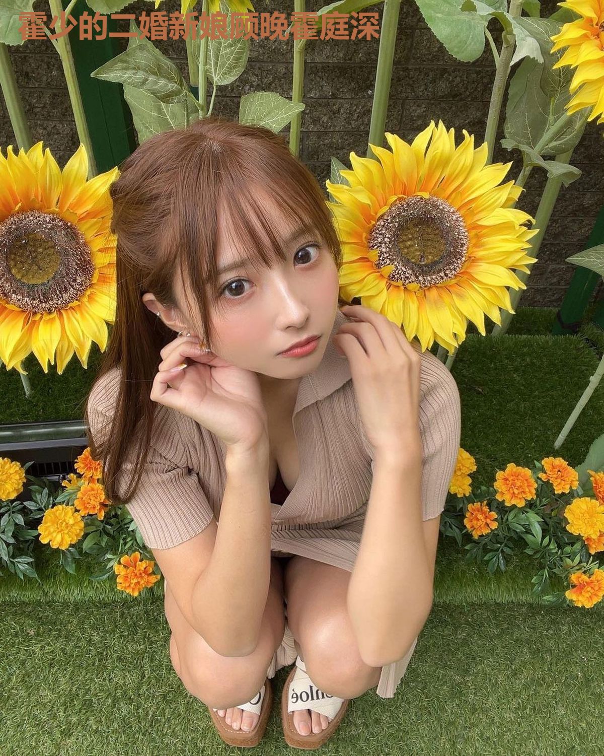 霍少的二婚新娘顾晚霍庭深