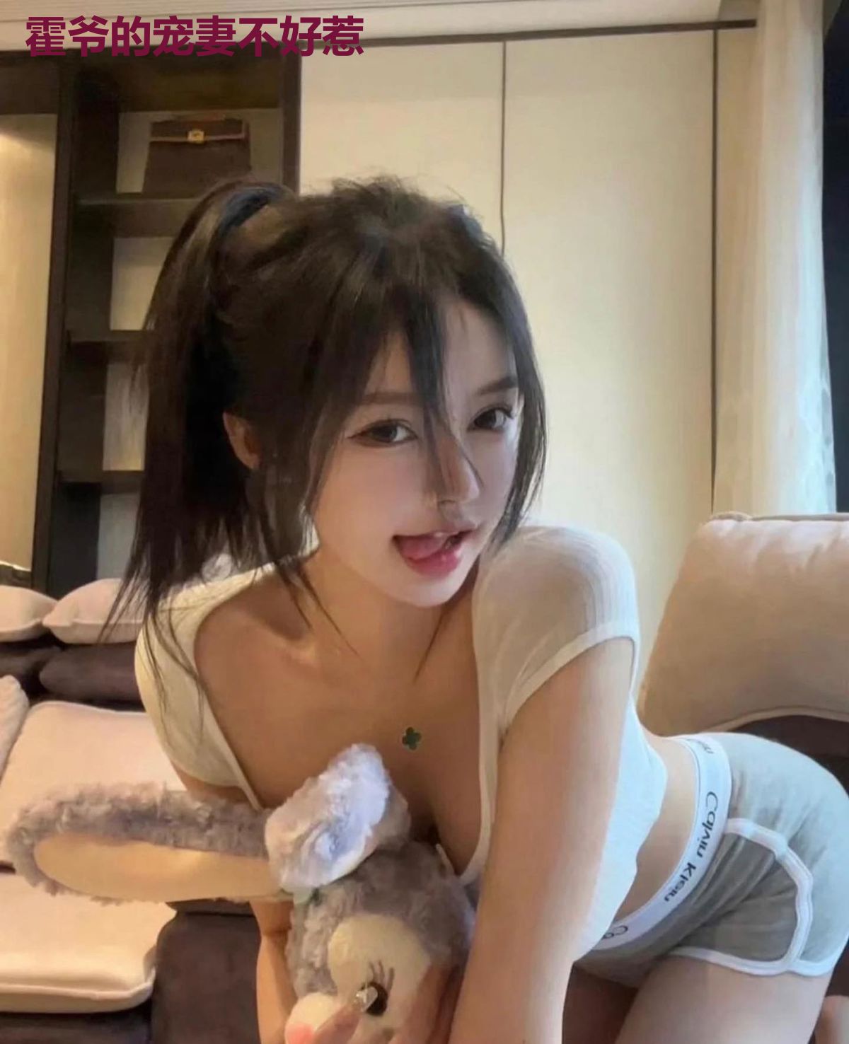 霍爷的宠妻不好惹
