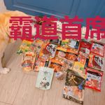 霸道首席进错房