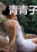 青青子矜呀！