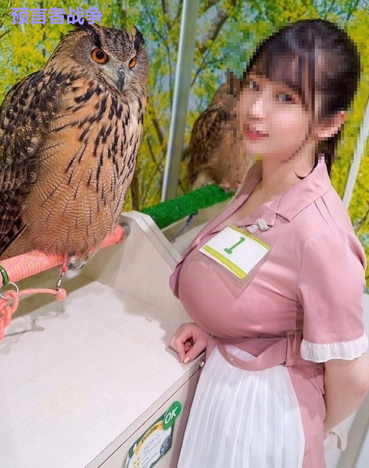 预言者战争