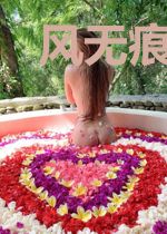 风无痕深爱无言