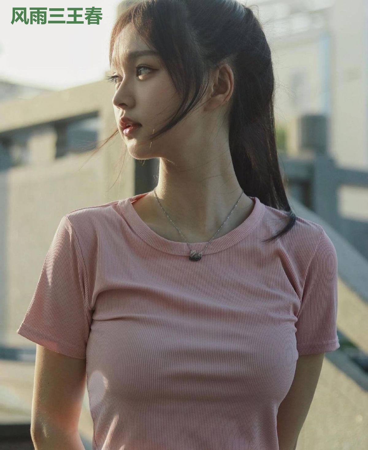 风雨三王春