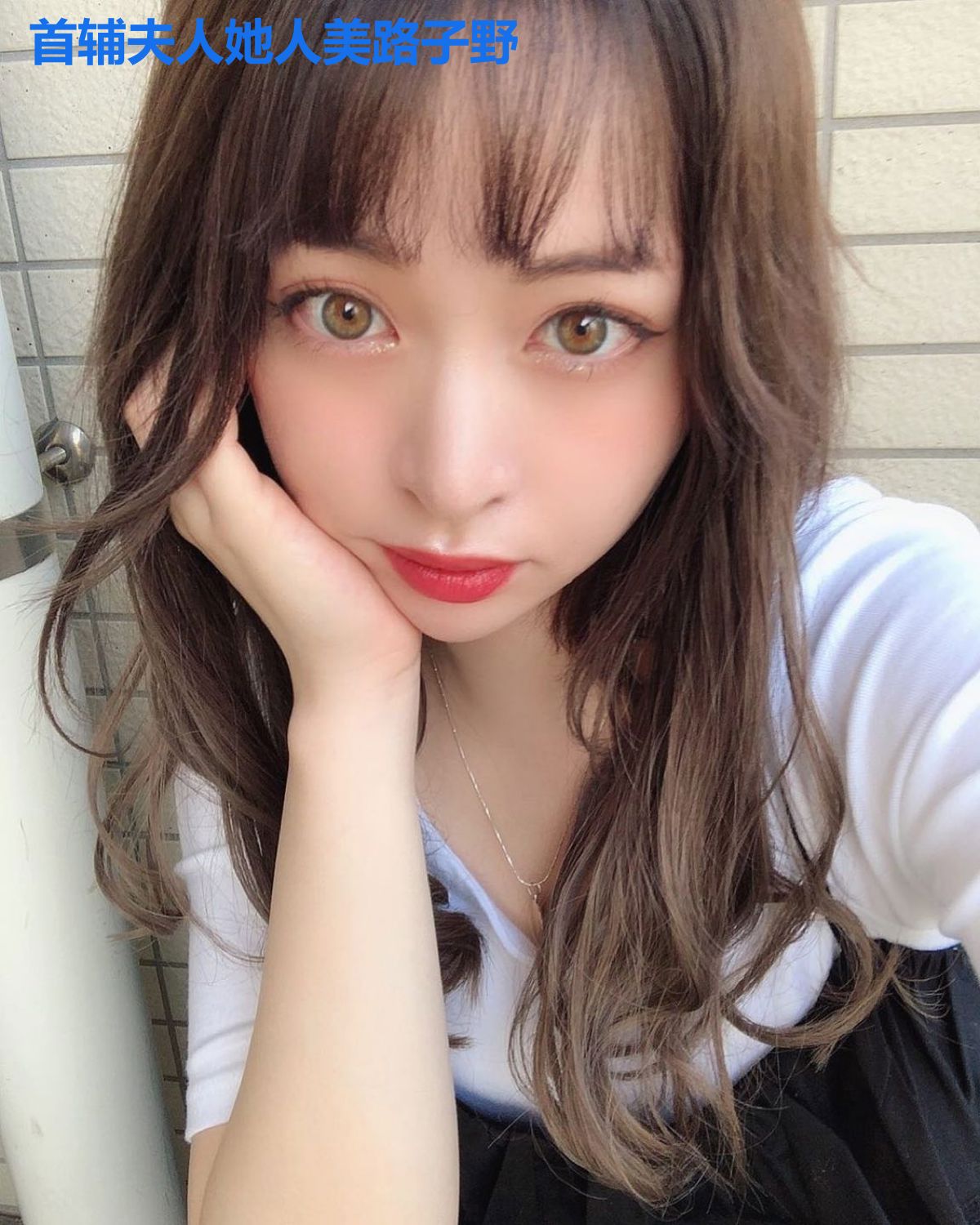 首辅夫人她人美路子野