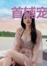 首辅宠上炮灰娘子