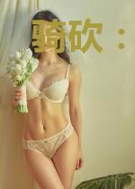 骑砍：汉匈霸主