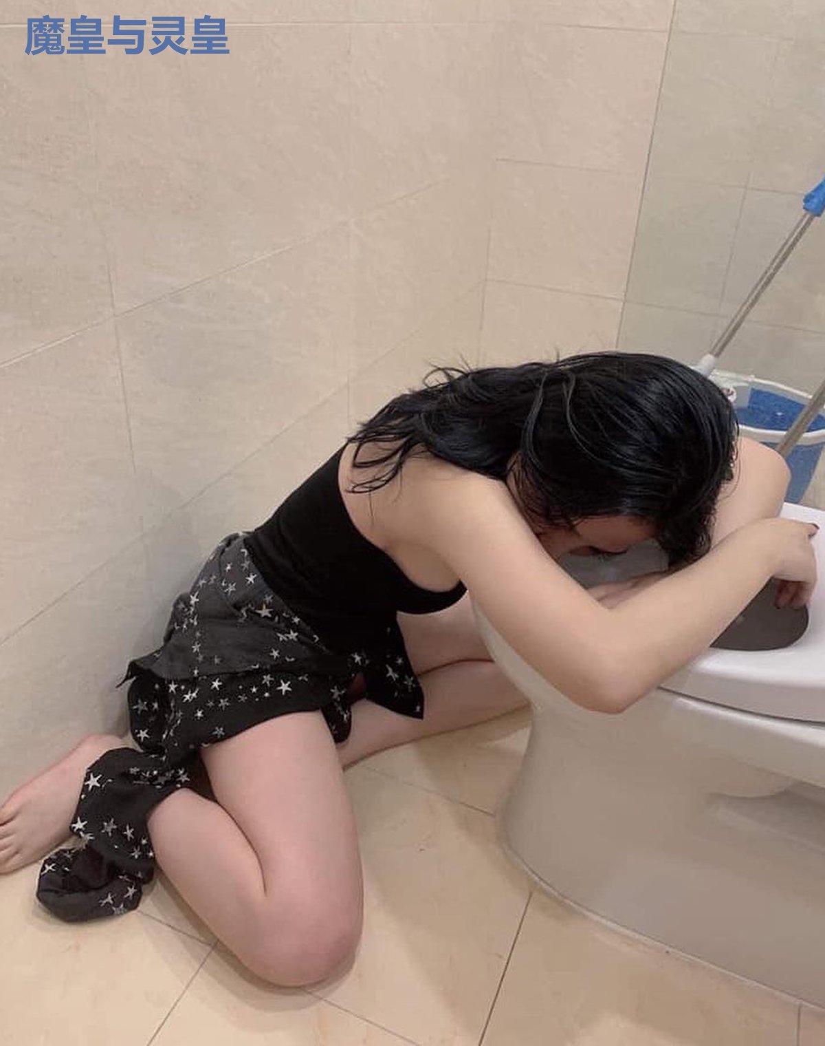 魔皇与灵皇