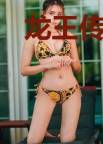 龙王传说之龙骑降临